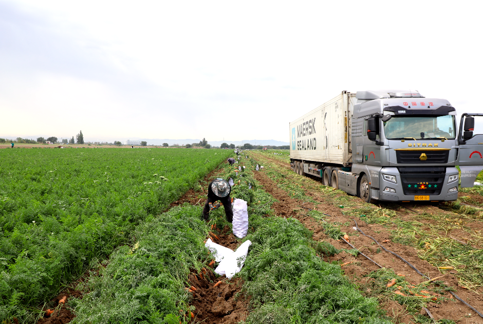 有他們幫忙，三坪農場農產品不愁賣！