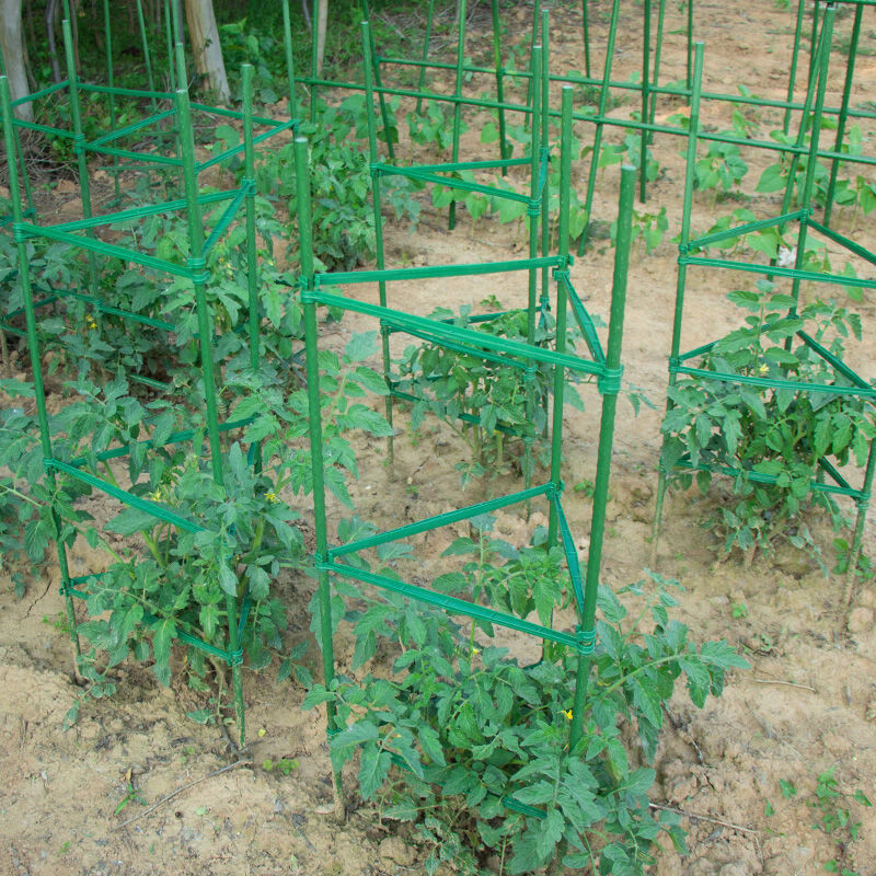 為豐收護航 定制金屬包塑番茄架，打造耐候耐銹的種植好幫手